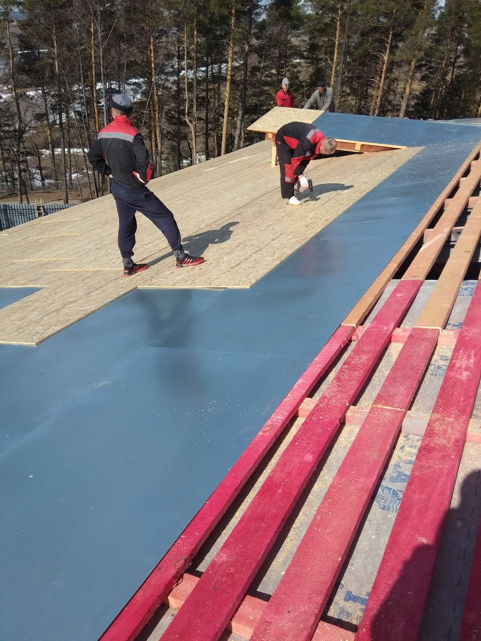 5444856803263975629